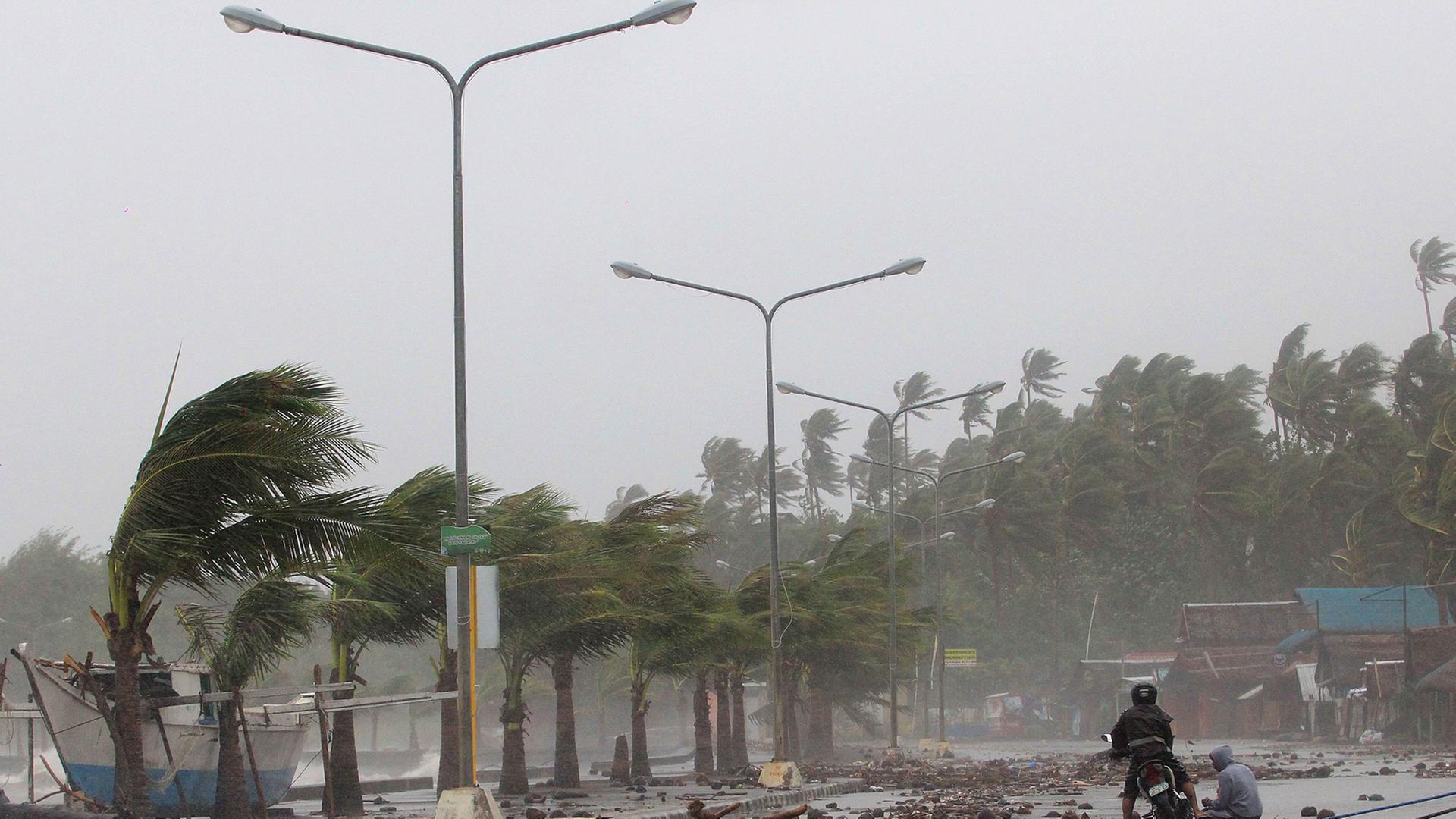 Der Sturm fegt über Palmen und eine Straße an einem Hafenkai, auf der Trümmer liegen. In der Ferne ein Motorradfahrer und ein Passant.