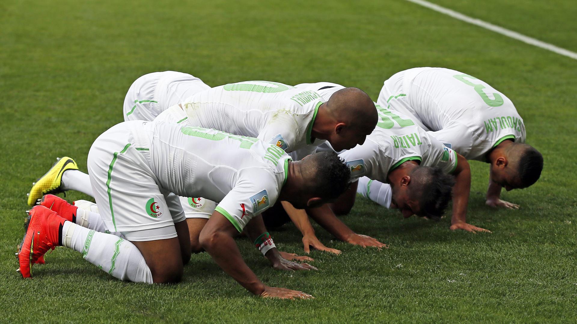 Algerische Spieler feiern das 1:0 im WM-Spiel gegen Belgien in Belo Horizonte.