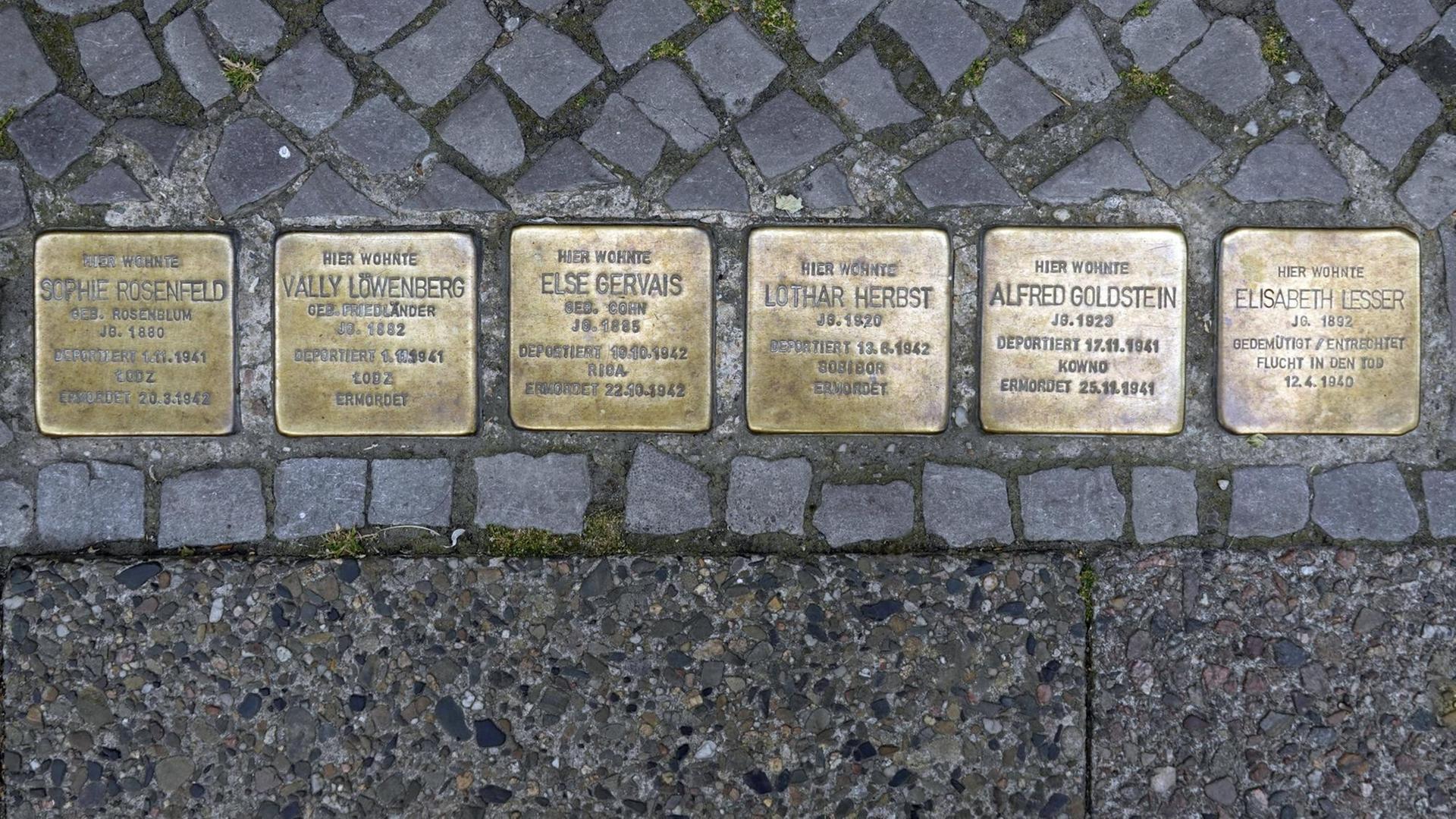 Sechs Stolpersteine nebeneinander in der Salzburger Straße in Berlin.