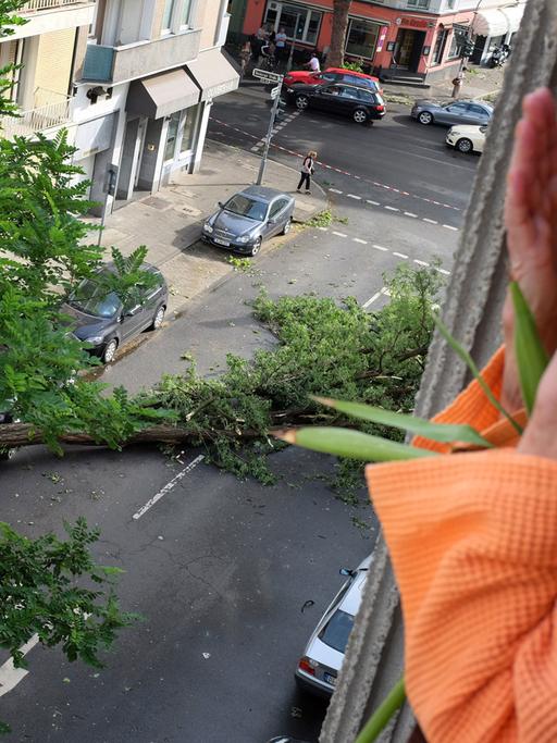 Ein Frau schaut am 10.06.2014 in Düsseldorf (Nordrhein-Westfalen) aus ihrem Fenster auf die Sturmschäden der Nacht. Beim schwersten Unwetter in Nordrhein-Westfalen seit Jahren sorgten Sturmböen, Blitzeinschläge und Hagel an vielen Häusern und Autos für Schäden.