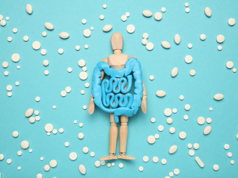 Ein plastisches Modell des Darms liegt in den Händen einer liegenden menschlichen Figur aus Holz, drumherum sind Tabletten verteilt.