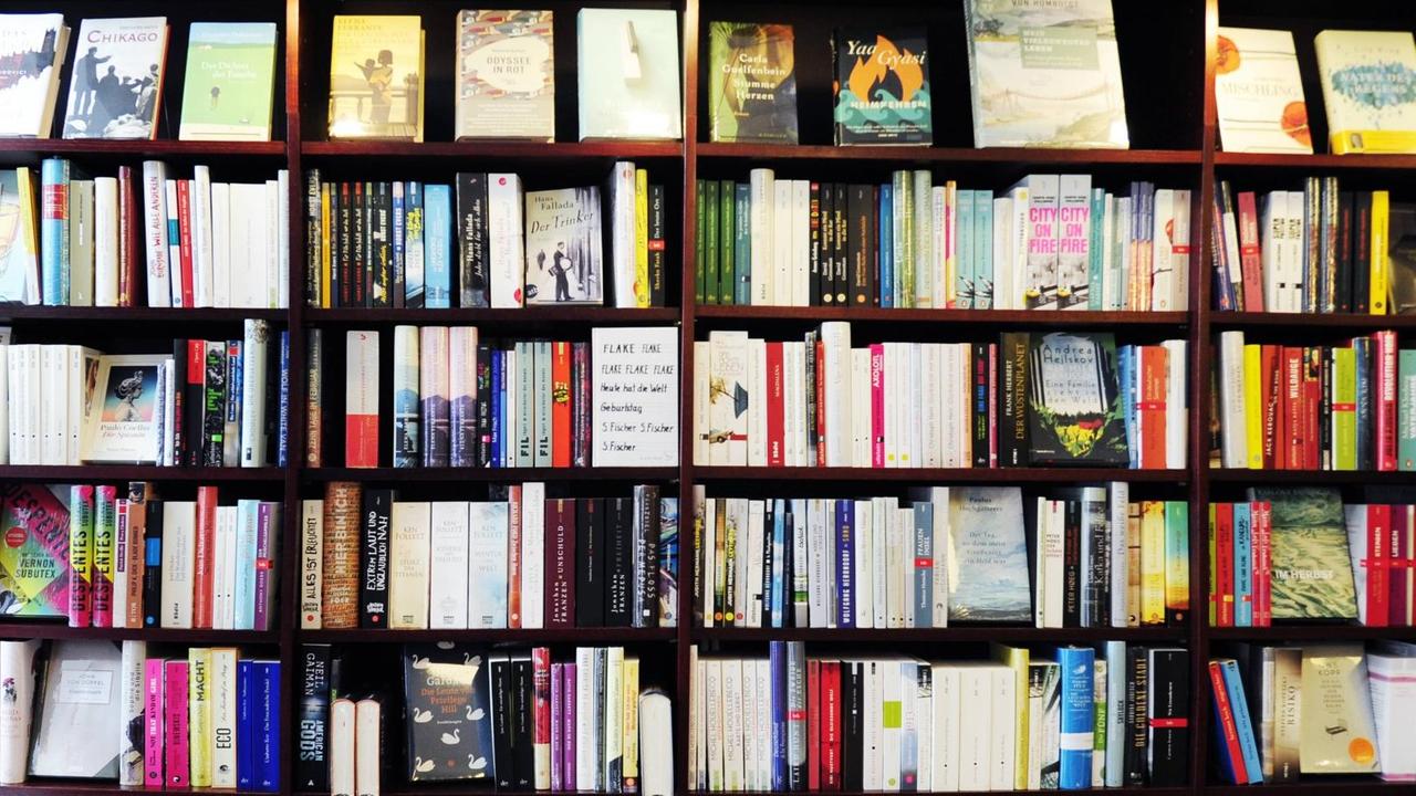 Bücherregal in der Berliner Kiez-Buchhandlung "Lesen & Lesen Lassen" in Berlin-Friedrichshain