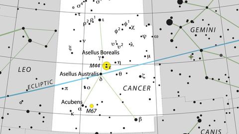 Das Sternbild Krebs mit M44 und den beiden Esel-Sternen