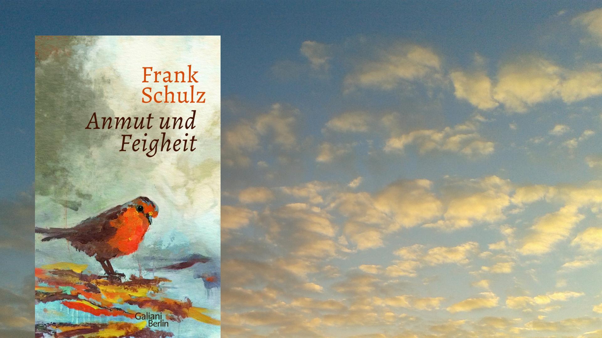 Buchcover: Frank Schulz: "Anmut und Feigheit"