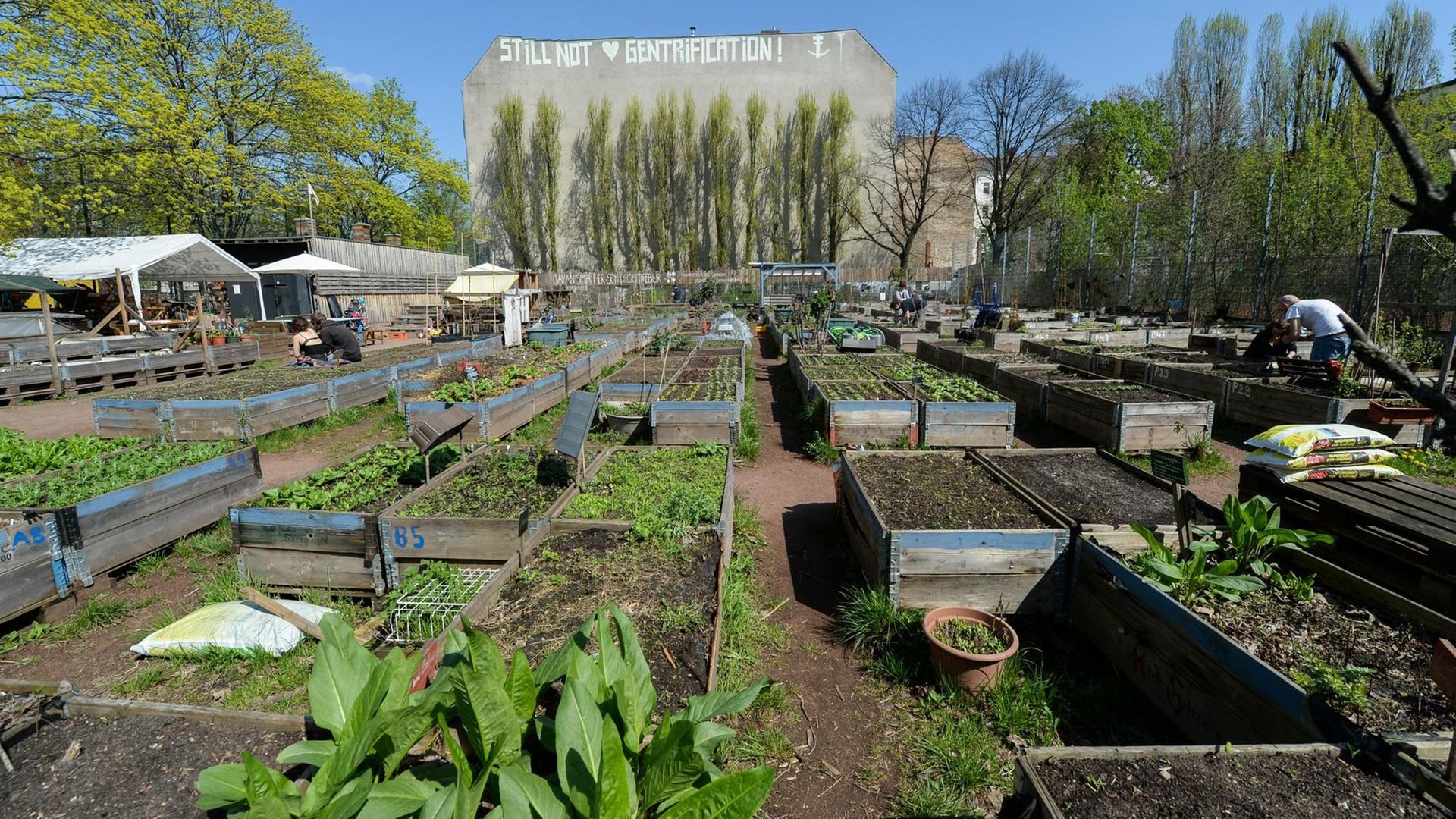 Der Gemeinschaftsgarten Himmelbeet in Berlin-Wedding.