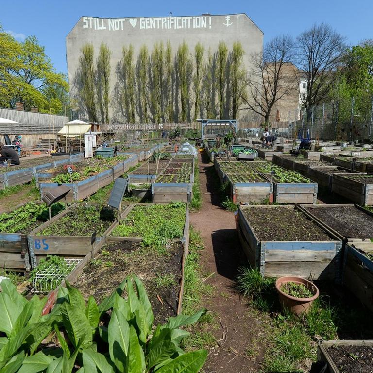 Der Gemeinschaftsgarten Himmelbeet in Berlin-Wedding.
