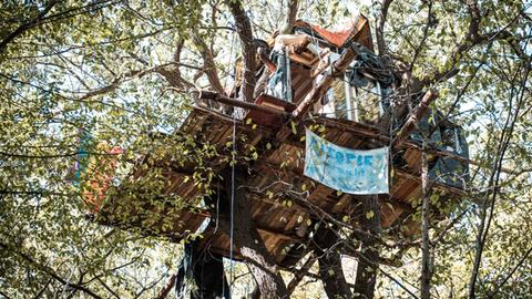 Ein Baumhaus im Hambacher Forst mit Regenbogenfahne und Transparent "Utopie braucht Freiheit"
