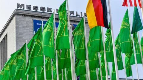 Fahnen der Grünen Woche vor den messehallen am Berliner Funkturm