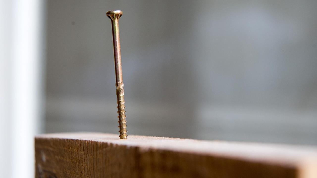 Eine Schraube ist mit der Spitze in eine Holzdiele geschraubt. Gewinde und Kopf ragen noch heraus.