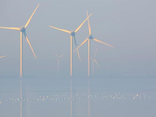 Blick auf den Offshore-Windpark von Neeltje Jans im Morgennebel.