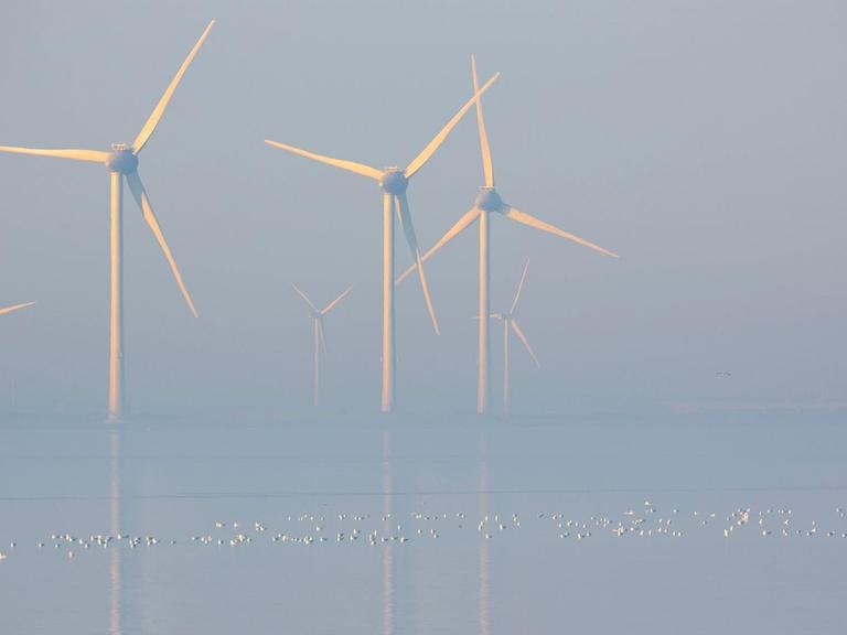 Blick auf den Offshore-Windpark von Neeltje Jans im Morgennebel.