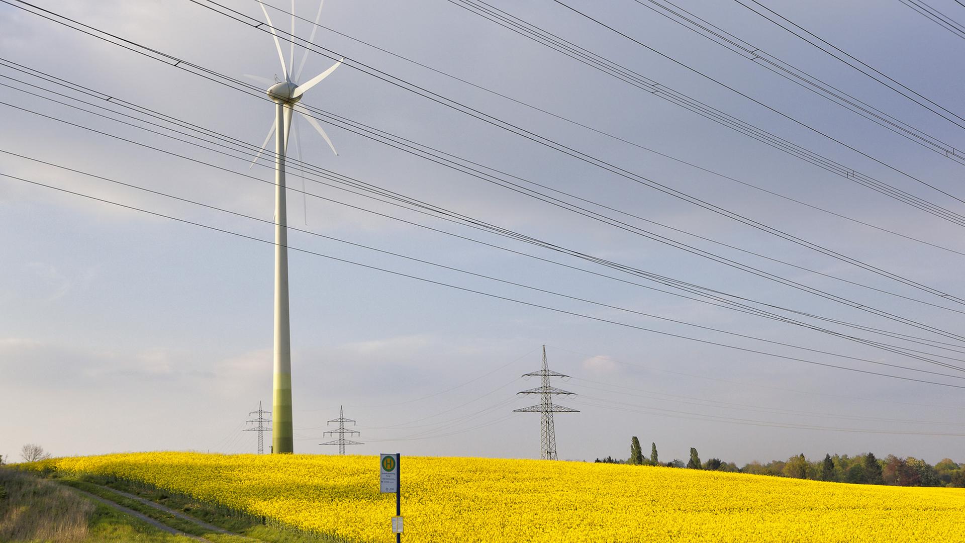 Ein Windkraftwerk neben einem Strommast inmitten eines Rapsfeldes unter blauem Himmel
