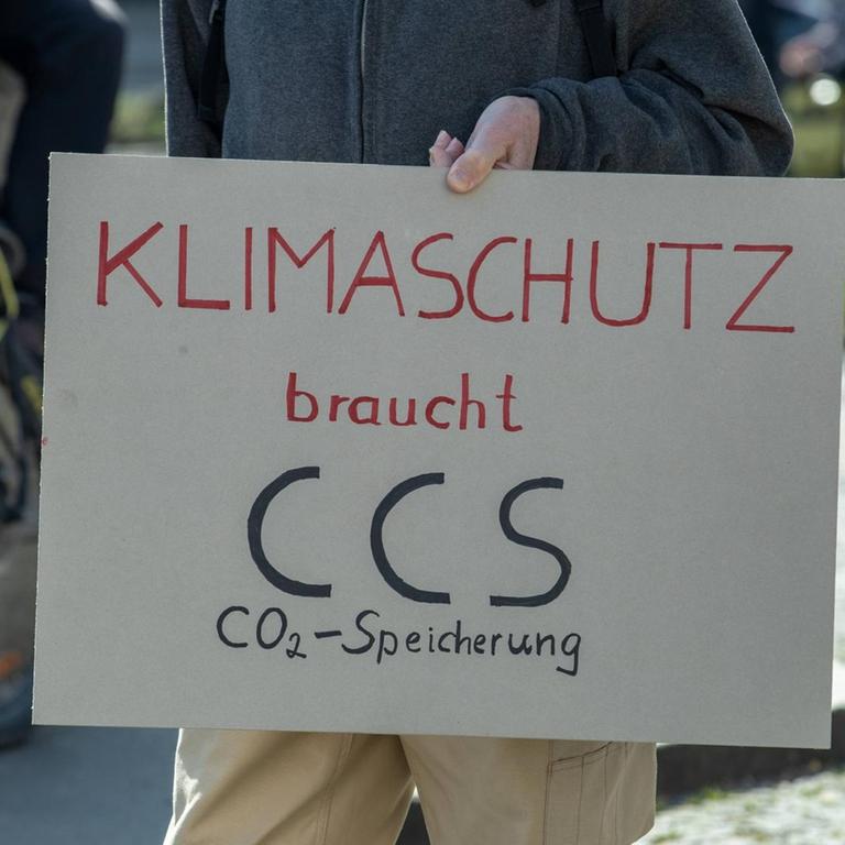 Schild mit der Aufschrift "Klimaschutz braucht CCS CO2 Speicherung" auf der Fridays for Future Demo in München am 22.3.2019
