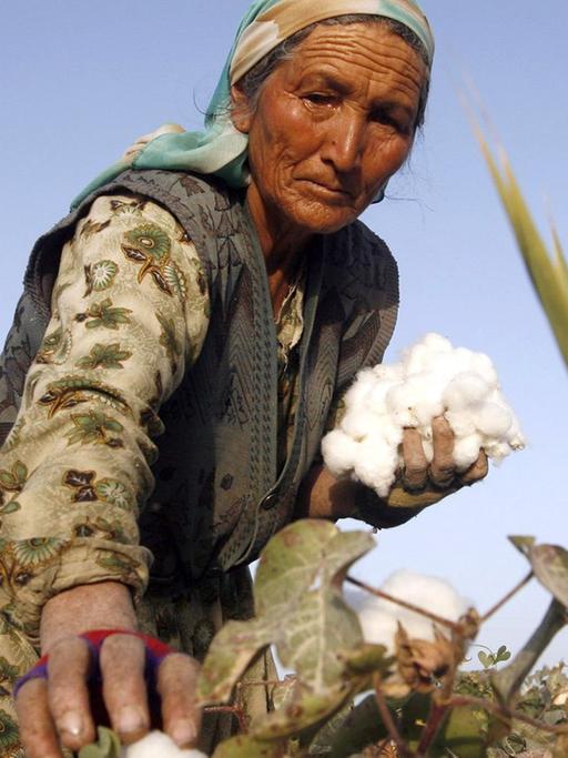 Eine Frau erntet Baumwolle auf einem Feld in China.