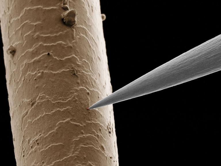 Ein menschliches Haar mit einem Nanoteilchen an der winzig kleinen Spitze eines Roboters