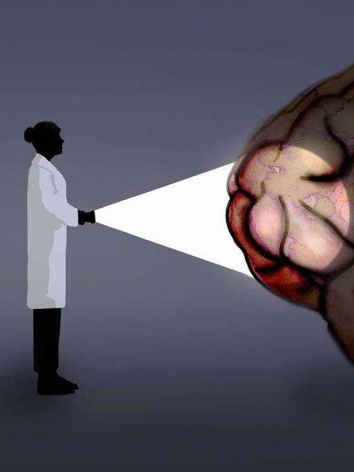 Symbolbild zum Thema Erforschung des Gehirns, der Gefühle, der menschlichen Verhaltensweisen: Wissenschaftlerin strahlt mit einer Taschenlampe auf ein menschliches Gehirn.