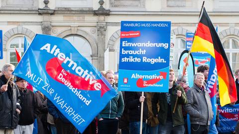 Anhänger der Partei Alternative für Deutschland (AfD) halten in Hamburg während einer Kundgebung Fahnen und ein Plakat mit der Aufschrift "Einwanderung braucht strikte Regeln" hoch.