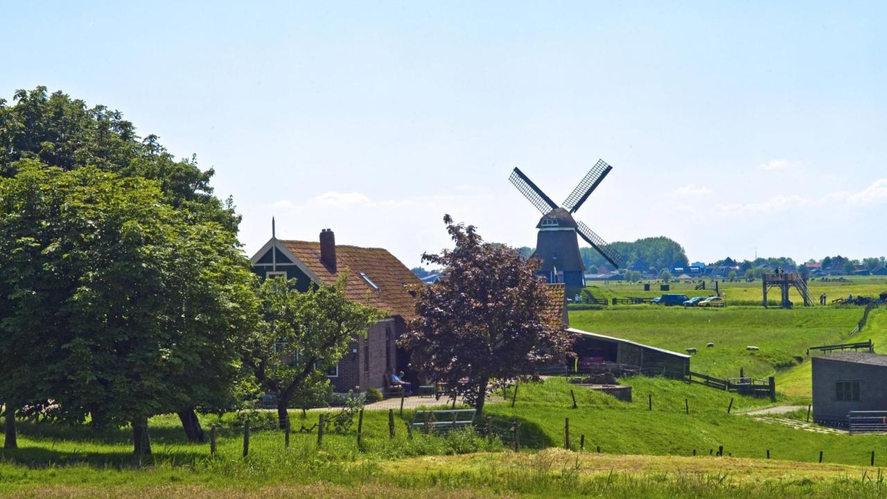 Bauernhaus in Wiesenlandschaft mit Windmühle, Niederlande, Noord Holland.