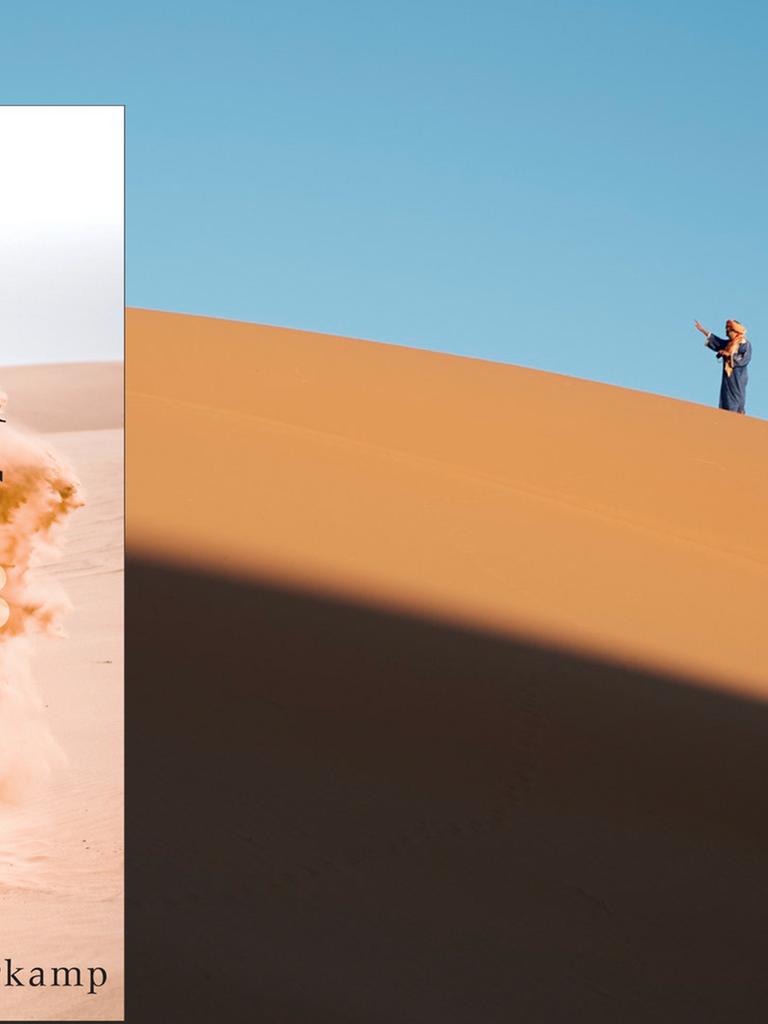 Svenja Leiber: Staub