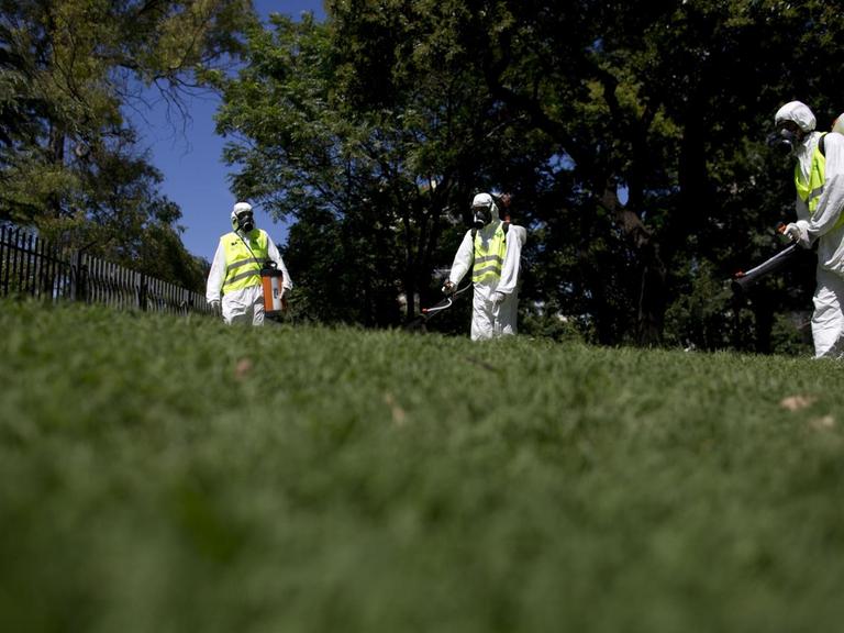 Bekämpfung von Stechmücken in einem Park in der argentinischen Hauptstadt Buenos Aires.