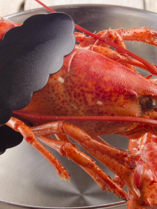 Cooked Lobster Is Taken From A Pot.