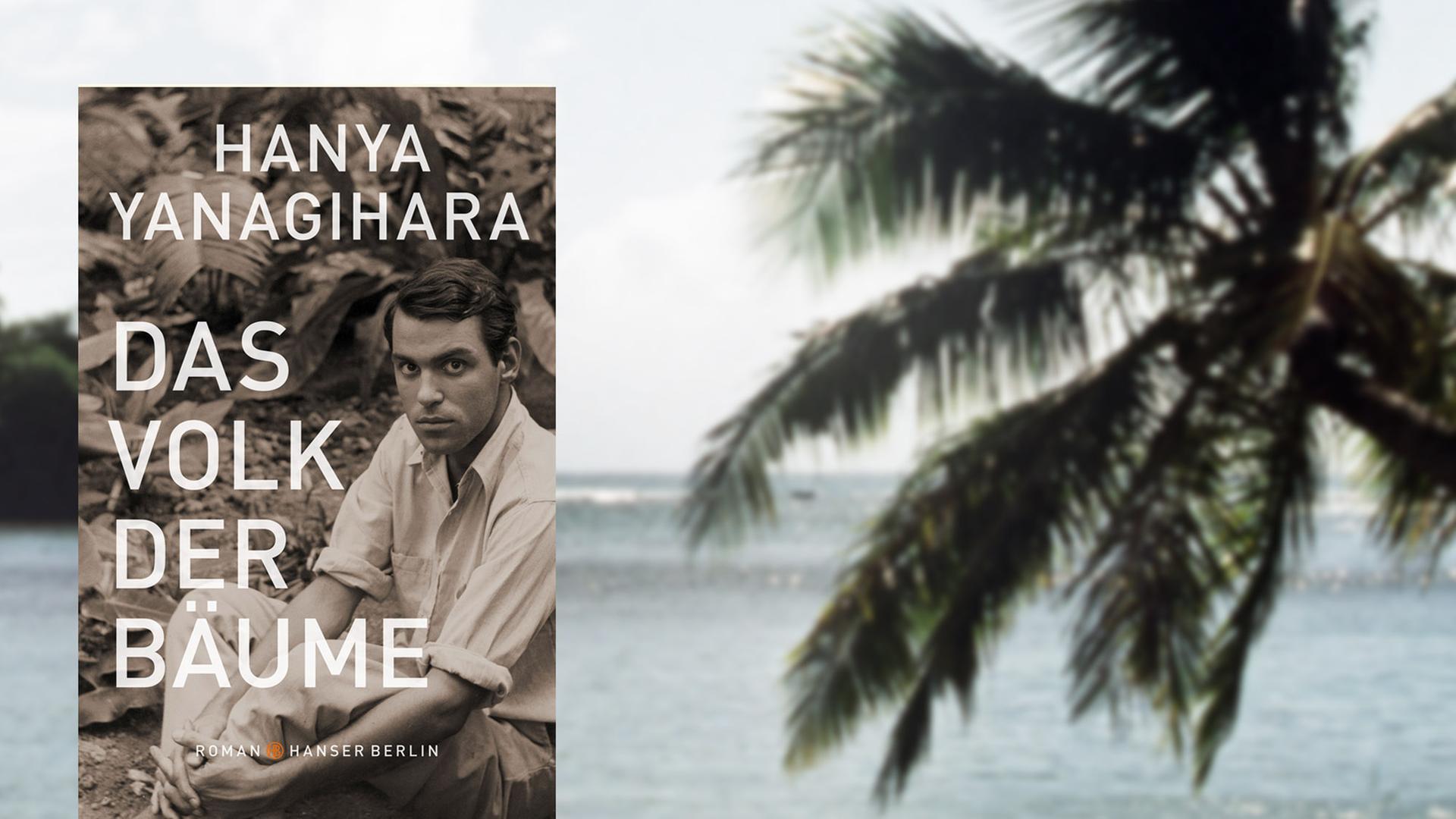 Buchcover "Das Volk der Bäume" von Hanya Yanagihara, im Hintergrund eine Palme und das Meer im Sonnenschein