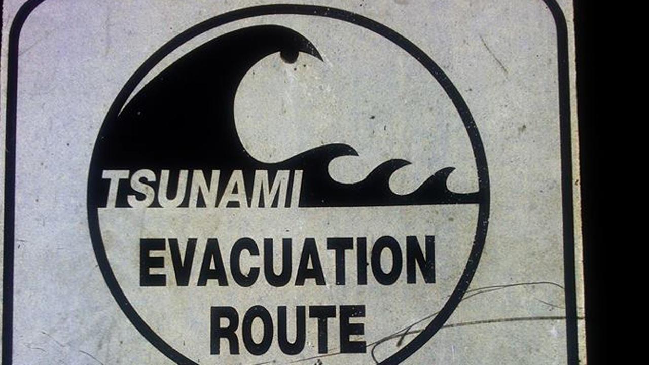 Ein Warnschild mit dem Hinweis Tsunami Evacuation Route.