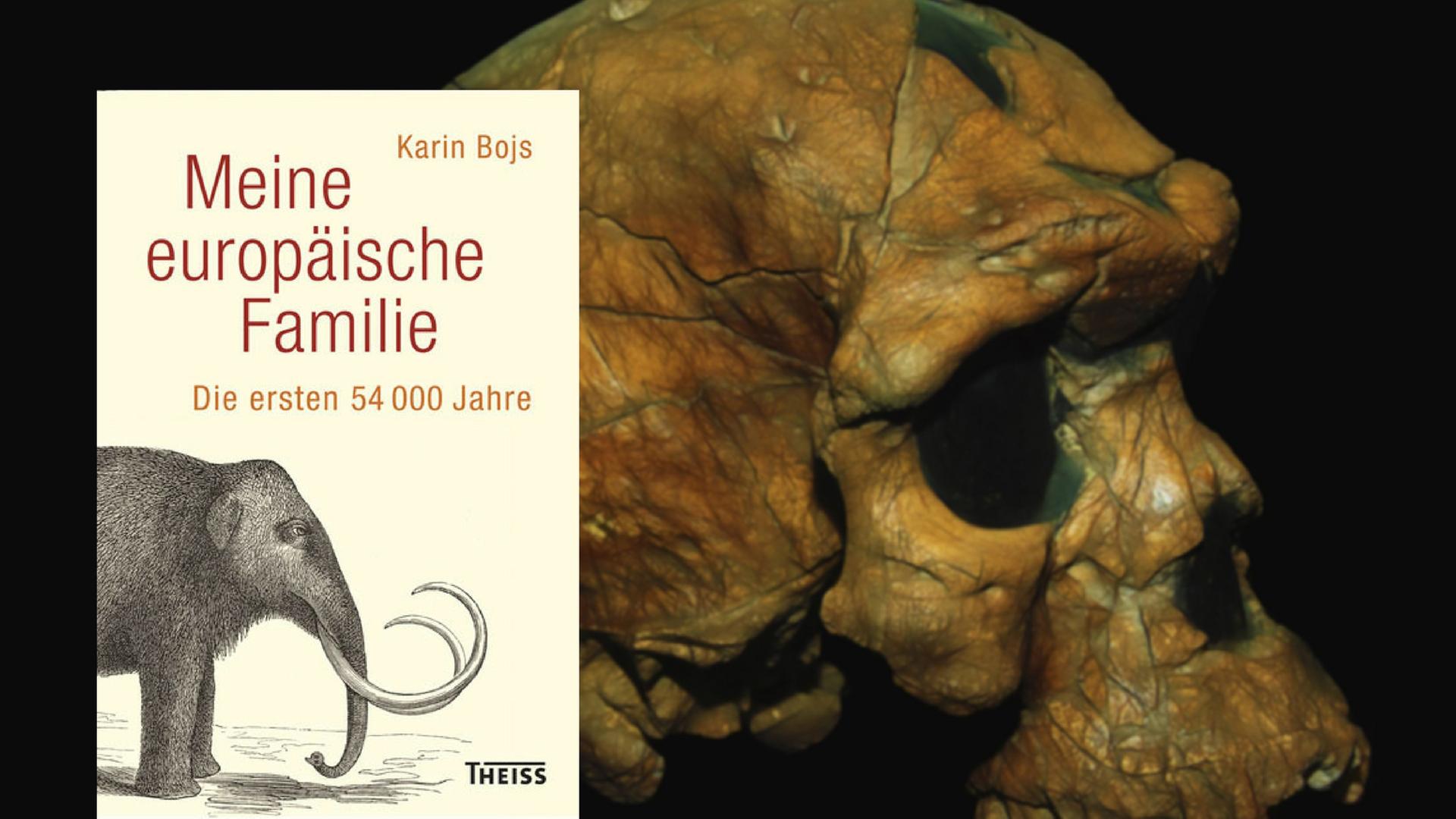 Der älteste bakannte Schädel eines Homo Sapiens - Äthiopisches Nationalmuseum, Addis Abeba