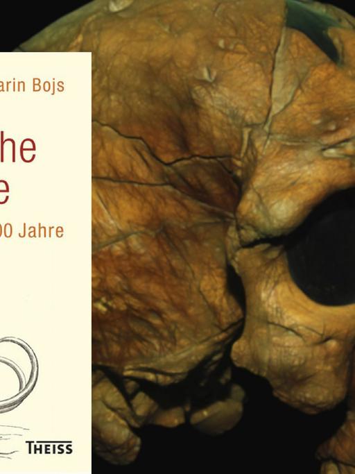 Der älteste bakannte Schädel eines Homo Sapiens - Äthiopisches Nationalmuseum, Addis Abeba