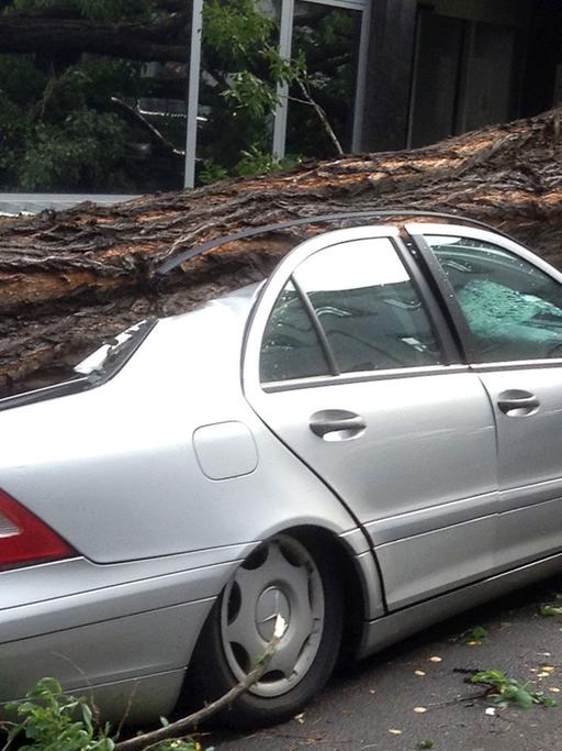 Ein Baum liegt am 10.06.2014 in Düsseldorf (Nordrhein-Westfalen) nach dem Sturm auf einem Auto.