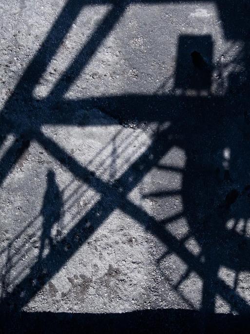 Steinkohle lagert im Kohlehafen vom Kohlekraftwerk Mehrum im Landkreis Peine, als der Schatten eines Mitarbeiters auf einer Brücke auf die Kohle fällt.