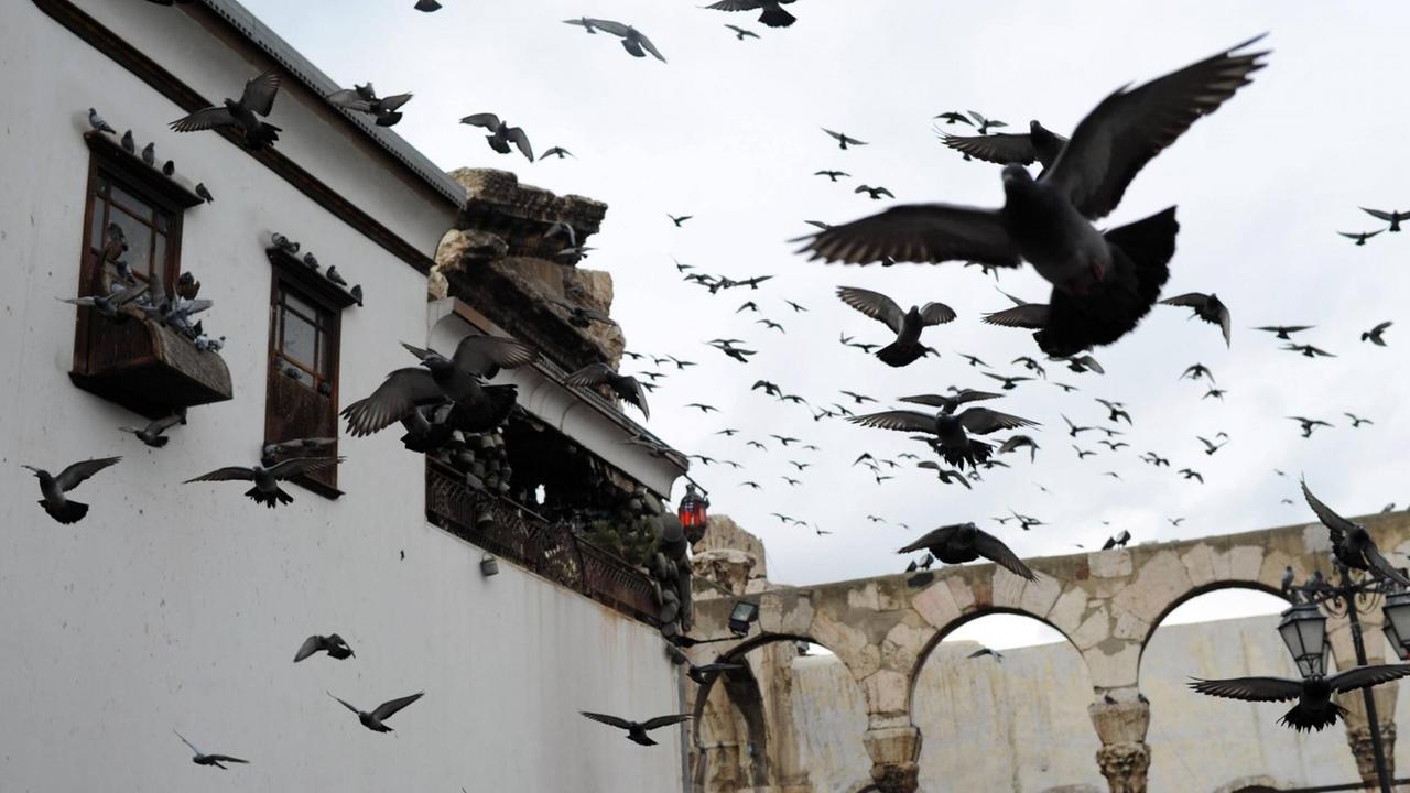 Auffliegender Taubenschwarm mitten in der Altstadt von Damaskus.