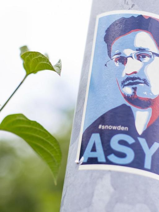 Das Foto zeigt eine Kölner Laterne, aber der ein Aufkleber klebt, der das Konterfei von Edward Snowden mit der Forderung nach Asyl für den Whistleblower zeigt.