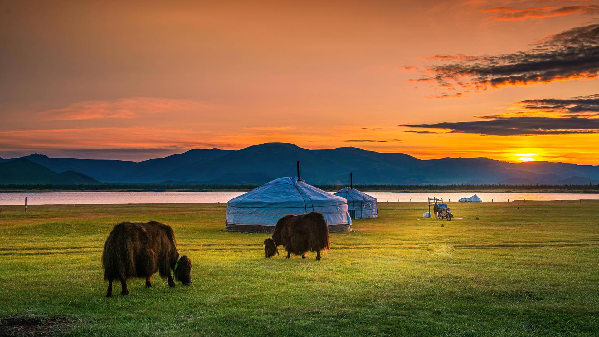 Die mongolische Gesangstradition "Höömii" ist stark von Naturgeräuschen geprägt. 