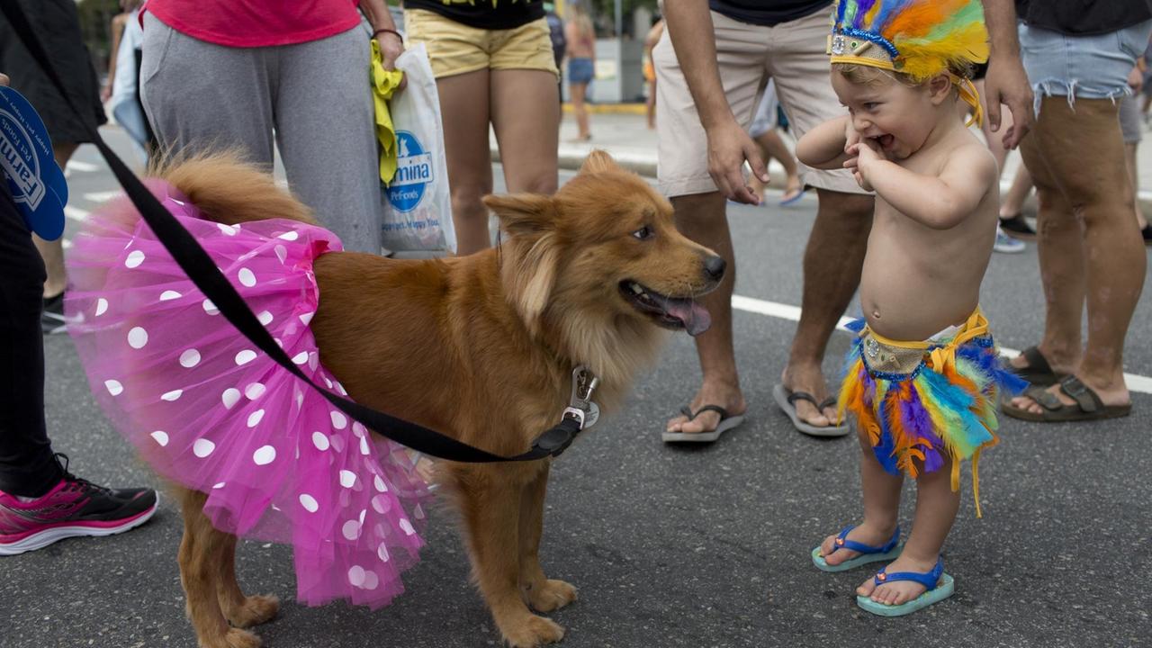 Ein Kind spielt auf dem Blocao, der Karnevalsparade für Hunde, mit einem Hund. Vor dem eigentlichen Karneval finden zahlreiche Open-Air-Partys, «bloco» genannt, statt.