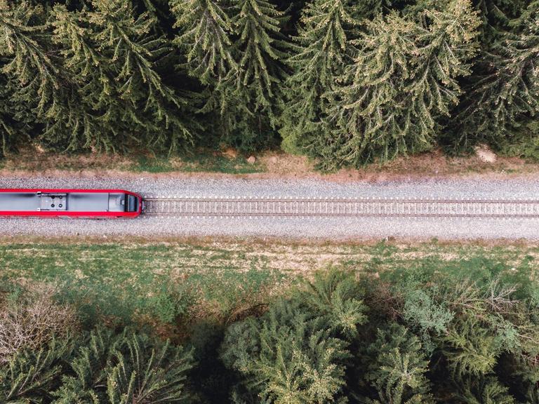 Aufsicht auf eine Eisenbahn, die durch einen Wald fährt.