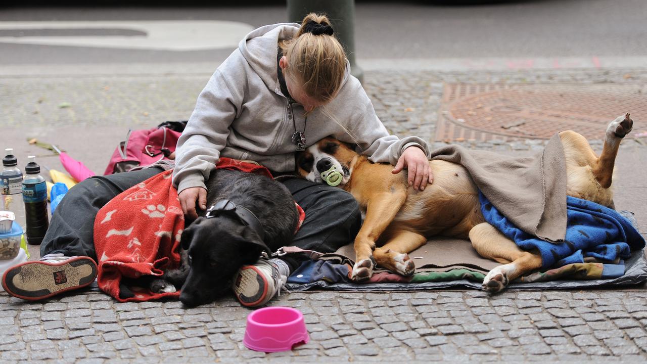Eine Frau sitzt mit ihren zwei Hunden am Straßenrand.