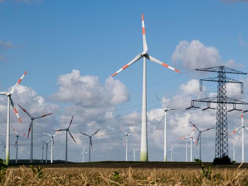 Windräder und eine Hochspannungsleitung stehen auf einem Feld.