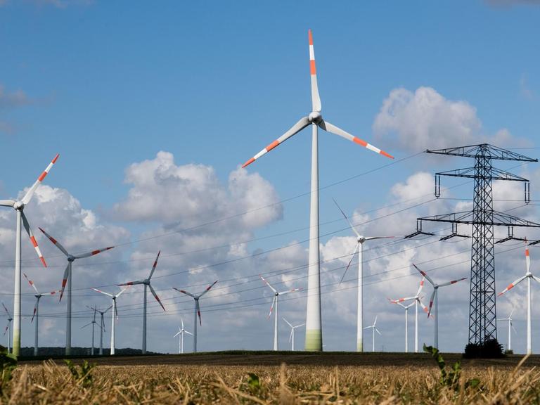 Windräder und eine Hochspannungsleitung stehen auf einem Feld.