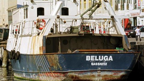 Bei seinem Untergang waren im März 1999 drei Fischer aus Sassnitz auf Rügen ums Leben gekommen.