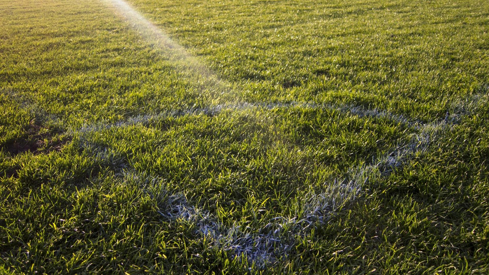 Ecke eines Fußballplatzes