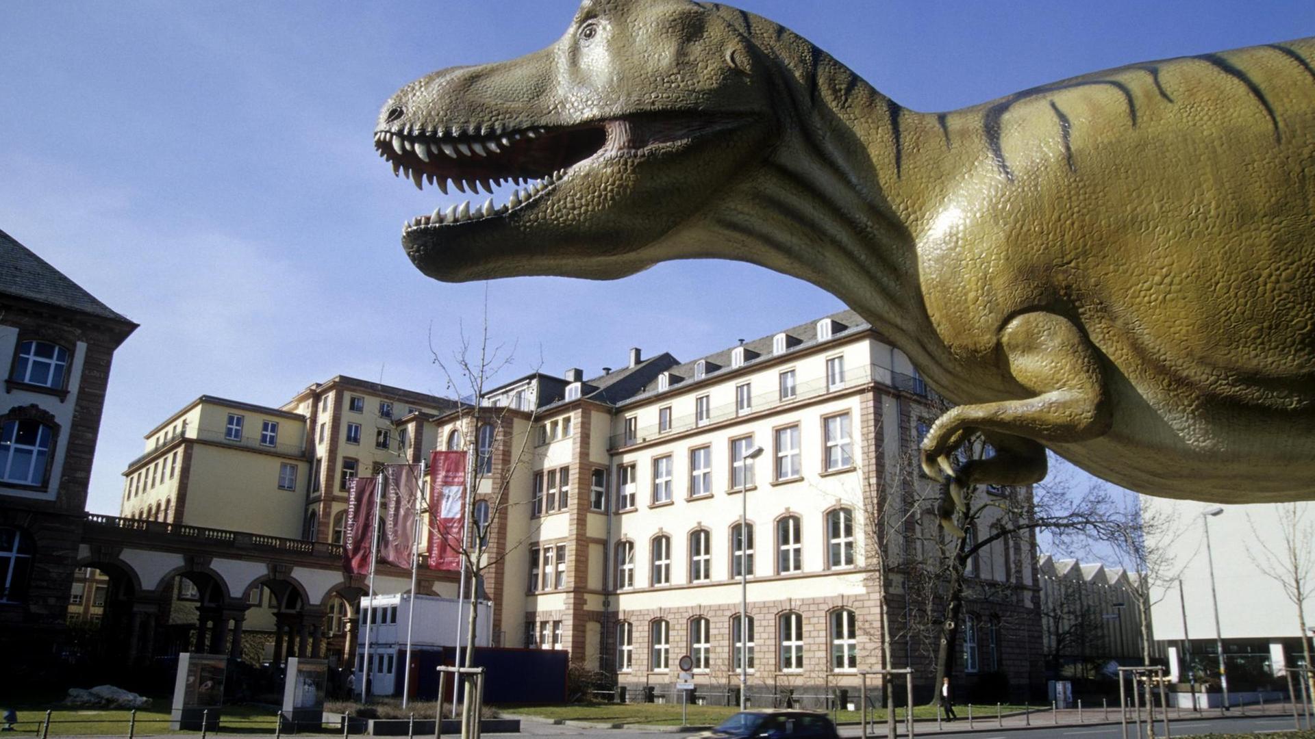 Dinosaurier am Naturmuseum, Senckenberg Museum, Frankfurt am Main, Hessen,