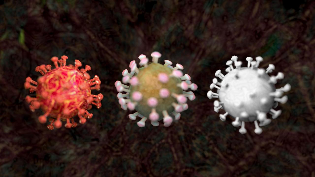Die Grafik zeigt drei Varianten eines Coronavirus wie des 2020 zur Pandemie gewordenen SARS-CoV-2. Die Grafik zeigt drei Varianten eines Coronavirus wie des 2020 zur Pandemie gewordenen SARS-CoV-2.