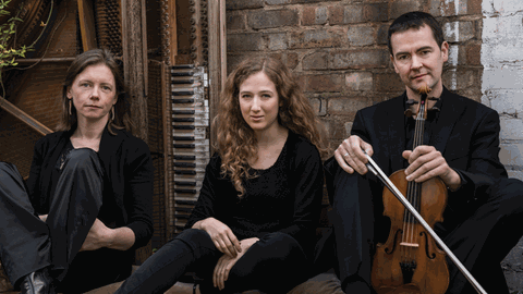 Das Fidelio Trio aus Dublin