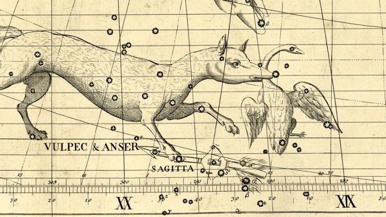 Das Sternbild Pfeil, Sagitta, zu Füßen des Fuchses in einer historiscehn Darstellung 