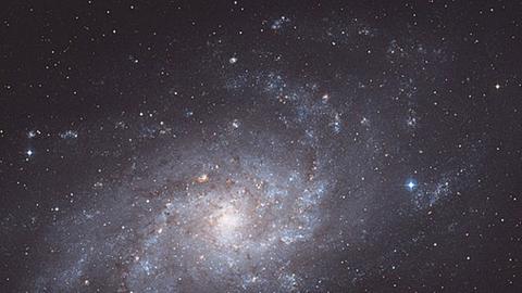 Die Galaxie M 33