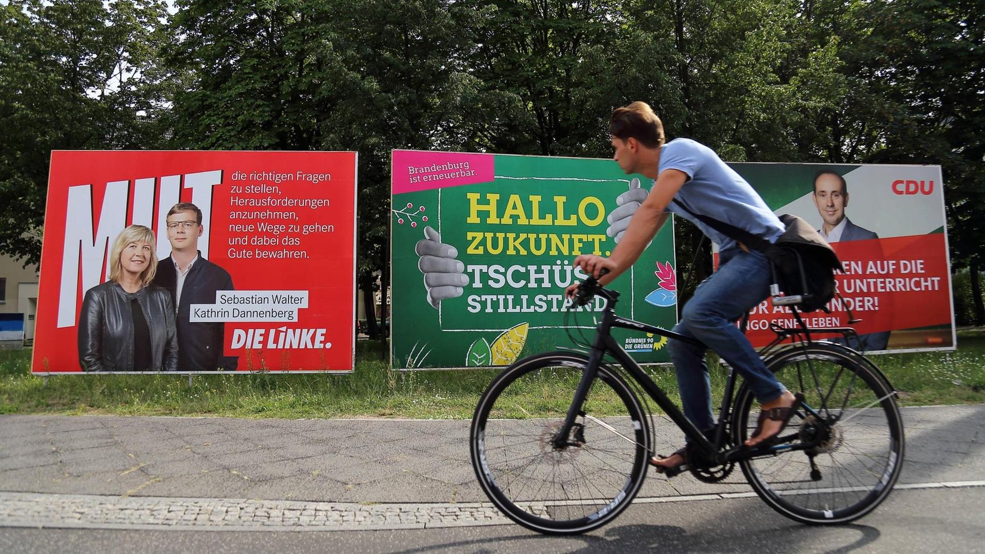 Fahrradfahrer fährt vor Wahlplakate von Die Linke, Bündnis 90/Die Grünen und CDU für die Landtagswahl in Brandenburg vorbei