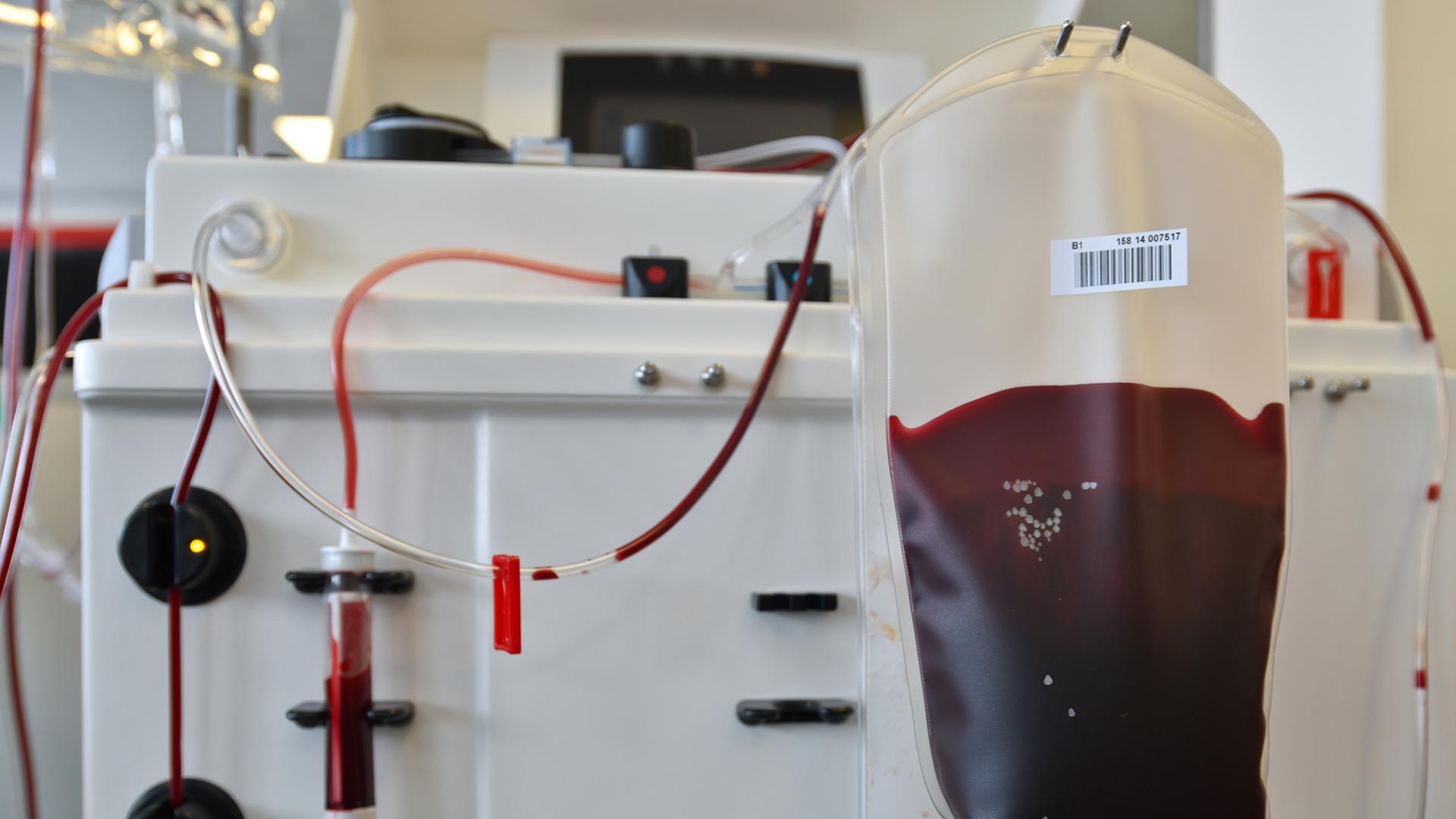 Im Haema Blutspendedienst in Frankfurt (Oder) (Brandenburg) hängt eine Blutkonserve, aufgenommen am 26.03.2014