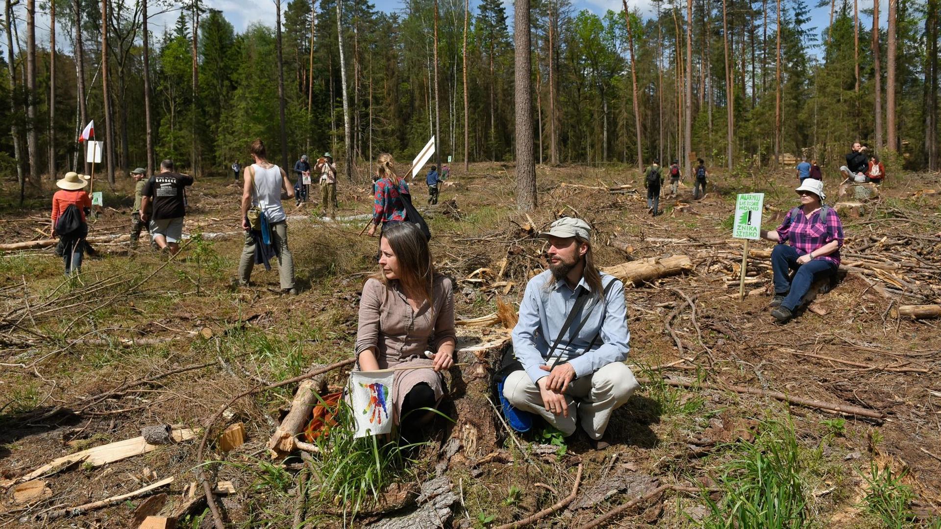 Eine Gruppe von Öko-Aktivisten hockt verteilt über eine abgeholzte Fläche des Bialowieza-Waldes. Im Hintergrund stehen noch Bäume.