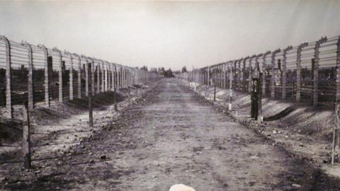 Der Auschwitz-Überlebende Kurt Julius Goldstein wischt sich auf der Gedenkveranstaltung des Internationalen Auschwitz Komitees zur Befreiung des Konzentrationslagers durch die sowjetische Armee mit einem Taschentuch Tränen aus dem Auge. Im Hintergrund ist ein großformatiges Foto des Weges zu sehen, der zu den Krematorien und Gaskammern des Vernichtungslagers führte.